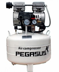 Máy nén khí không dầu Pegasus TM-OF550